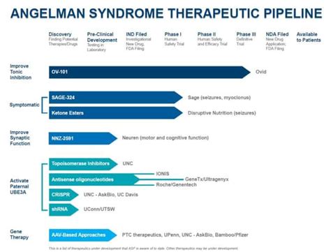 Angelman Therapeutics – Angelman Syndrome Foundation