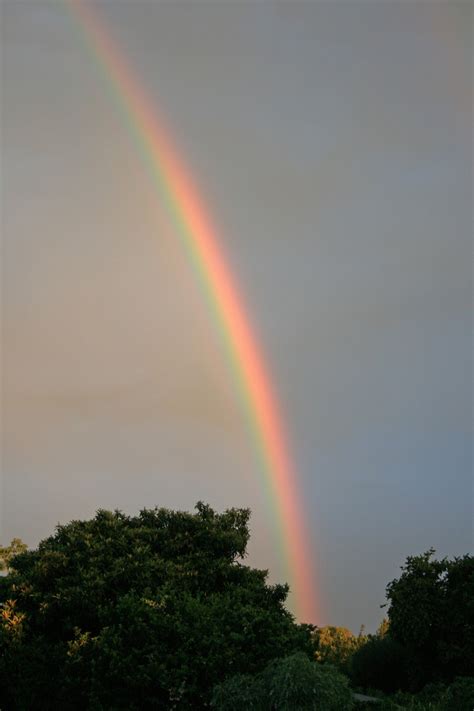 Rainbow In The Sky Free Stock Photo - Public Domain Pictures