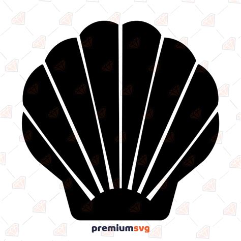 Seashell Clipart Black And White