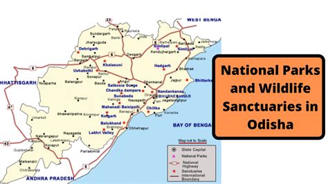 Complete List of National Parks & Wildlife Sanctuaries of Odisha - WildTrails of India