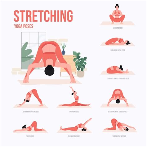 Premium Vector | Stretching Yoga poses Young woman practicing Yoga pose ...