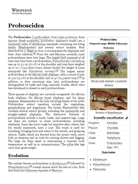 Proboscidea - Wiki | PDF | Proboscideans | Mammal Orders