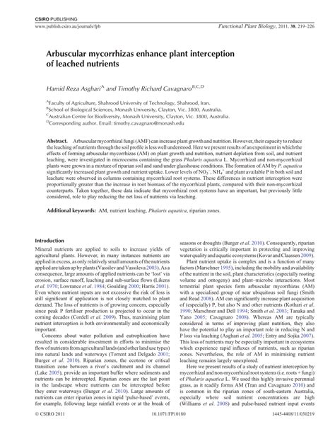 (PDF) Arbuscular mycorrhizas enhance plant interception of leached nutrients