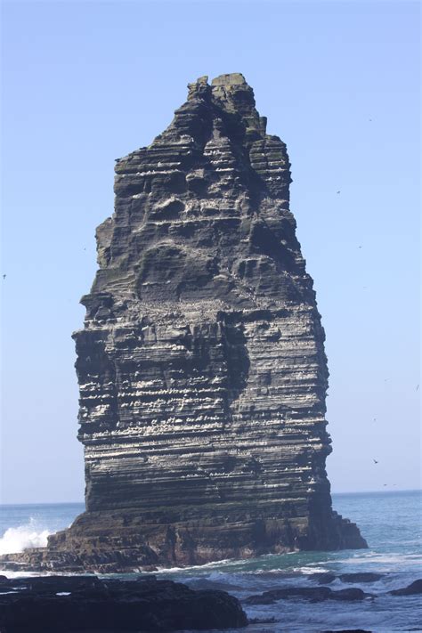 Sea Stack with birds nesting 20th April 2015 Herring Gull, Cliffs Of Moher, Heat Damage, Sea ...