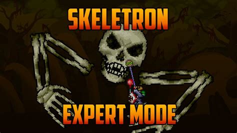 Terraria - Skeletron Expert Mode Yoyo Guide - YouTube