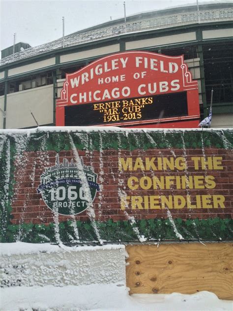 Wrigley Field | Wrigley field, Wrigley, Chicago