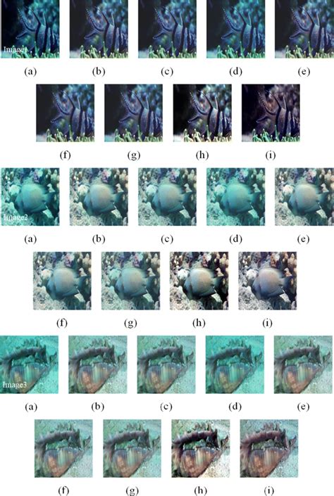 Visual examples of ablation study comparisons of our proposed method,... | Download Scientific ...