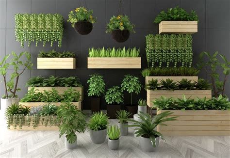 Indoor Plants Collection 3D model for Download | CGSouq.com | Plant ...