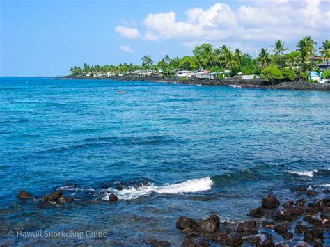 Kahaluu Beach Park Snorkeling Secrets! Guide to Big Island Snorkeling!