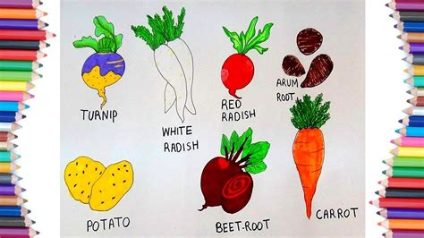 Root Vegetables Chart