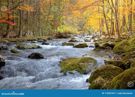 Autumn Smoky Mountain Stream Stock Image - Image of lush, landscape ...