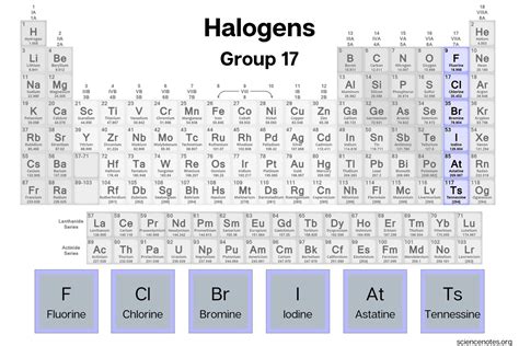 Halogen Elements - List and Facts