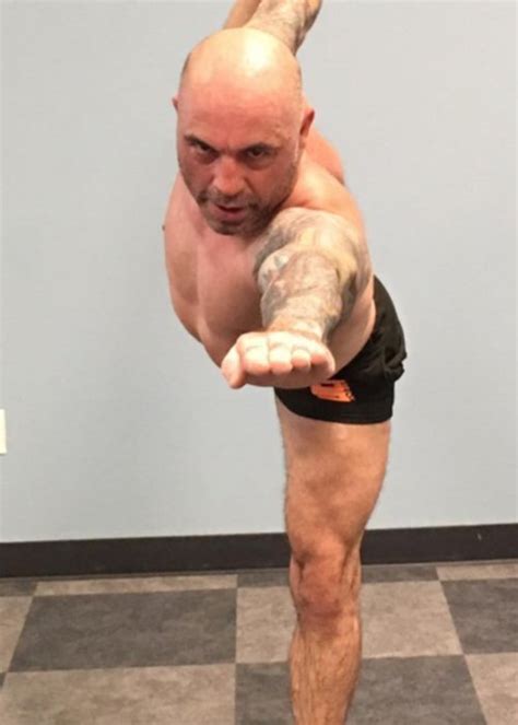 Joe Rogan Height, Weight, Age, Body Statistics - Healthy Celeb