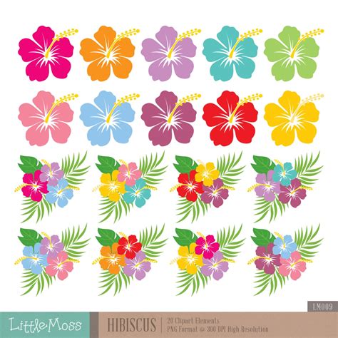 Hibiscus Digital Clipart, Hawaiian Flower Clipart - Etsy