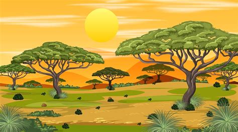 African Savanna forest landscape scene at sunset 2306325 Vector Art at Vecteezy