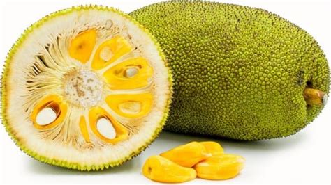 Benefícios da Jaca | Jackfruit, Jackfruit health benefits, Breadfruit