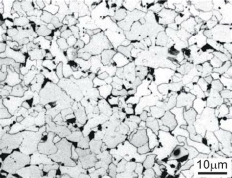 Optical micrograph showing the ferrite and pearlite microstructure in... | Download Scientific ...