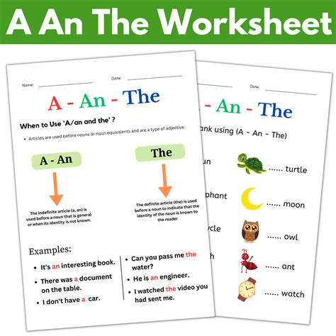 use of a an the articles activities worksheet - grammar a an the exercises | Made By Teachers