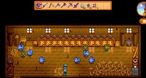 Stardew Valley: How to Feed Chickens