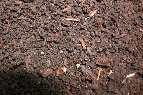 Is Soil Structure Important for Plant Growth? Complete Guide - Simplify Gardening