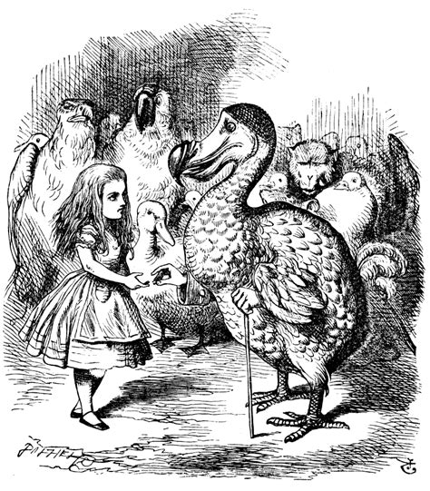 Dodo (Alice's Adventures in Wonderland) - Wikipedia