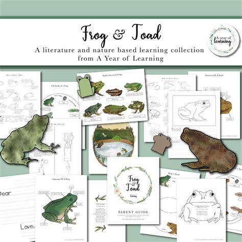 Adventures with Frog and Toad – A Year of Learning