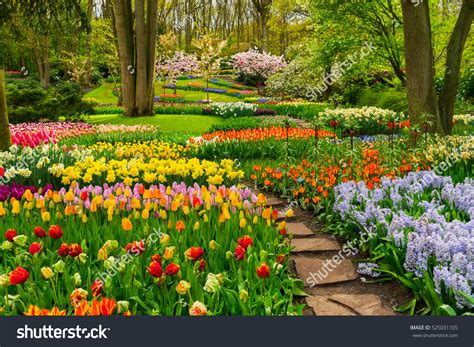 33,013 Amsterdam flowers garden Images, Stock Photos & Vectors ...