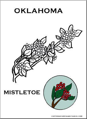 Oklahoma: State Flower – Mistletoe – Abcteach