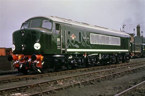 BR Class 44 – Rapido Trains UK