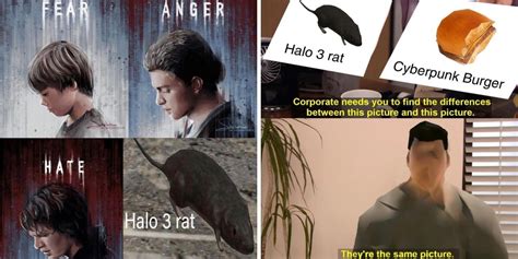 Halo: 10 Best Halo 3 Rat Memes