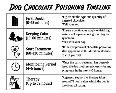 What Chocolate Kills Dogs