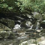 Grotto Falls Trail - Tennessee | AllTrails