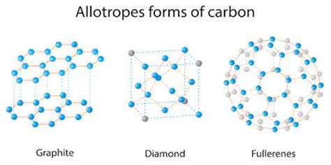 Allotrope - Zoefact