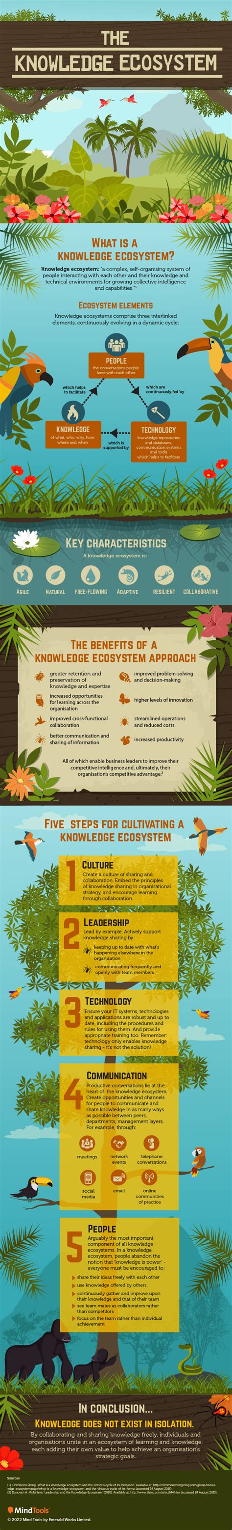 The Knowledge Ecosystem Infographic - Infographic Transcript