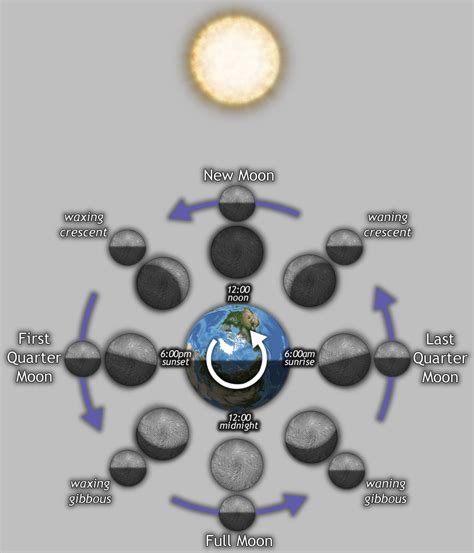 Moon Phases 2025 Nasa - Virginia Bell