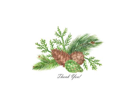 Pine Cones Watercolor Clip Art, Pine Branches Clipart, Christmas Greenery Clipart, Hand Painted ...