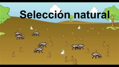 Selección natural - YouTube