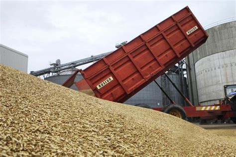 Malting barley price rises to €270/t as farmers hold firm on surplus - Free