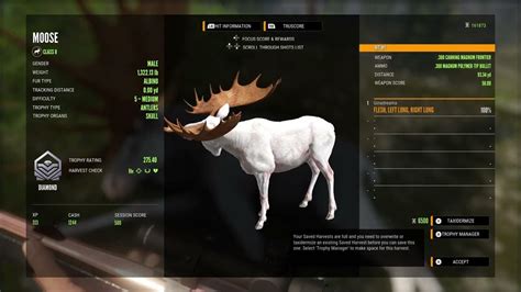 RARE Albino Diamond 💎 The Hunter: COTW - YouTube