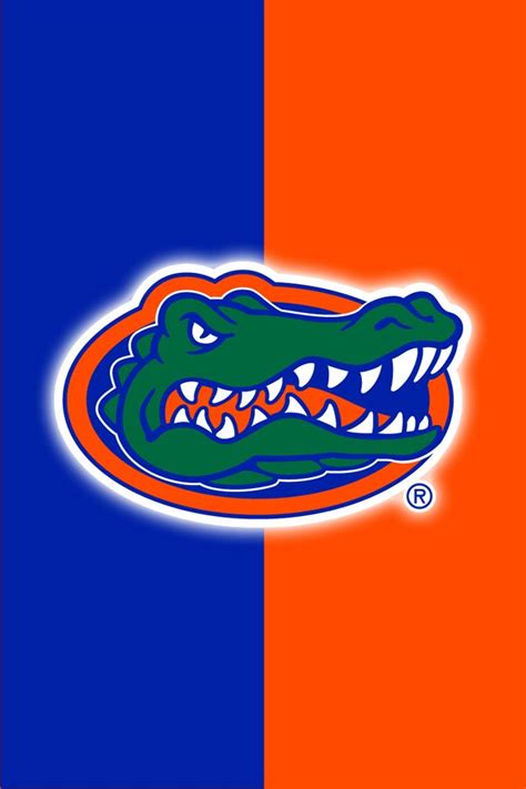 77 best Florida Gators images on Pinterest