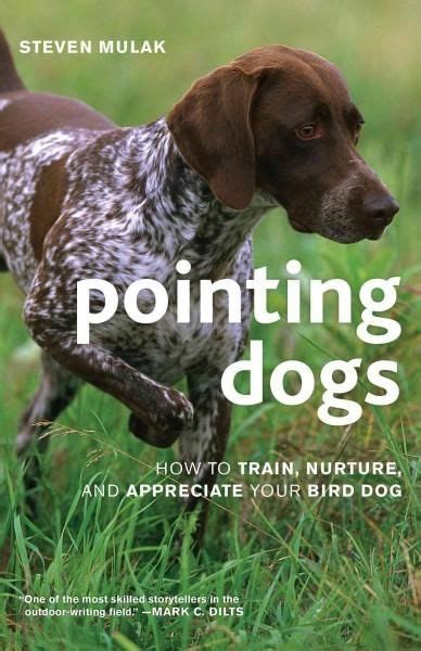 Pointing Dogs: How to Train, Nurture, and Appreciate Your Bird Dog ...