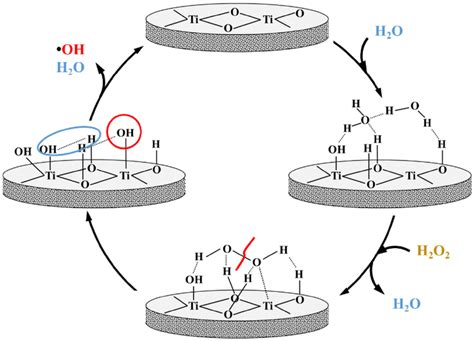 Catalytic cycle for conversion of H2O2 to hydroxyl radicals at the TiO2 ...