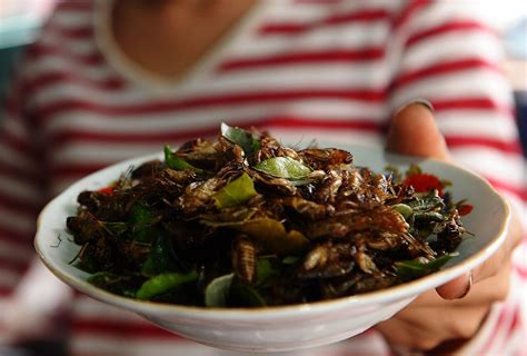 Crickets: They're What's for Dinner | KQED