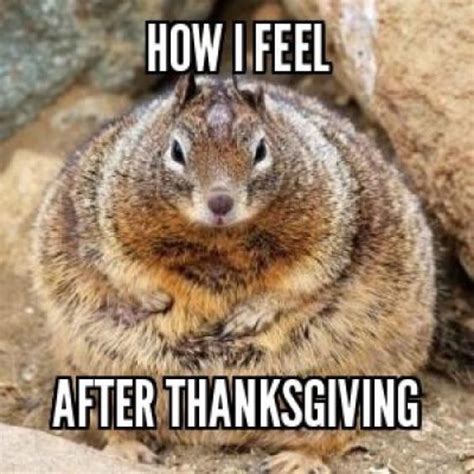 31 Funny Thanksgiving Memes To Get Ready For Turkey Day. | Happy ...