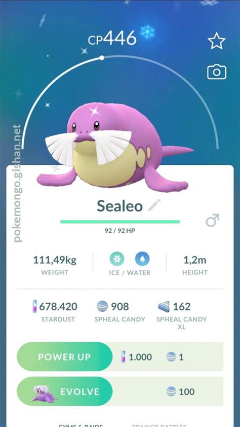 Shiny Sealeo - Pokemon Go