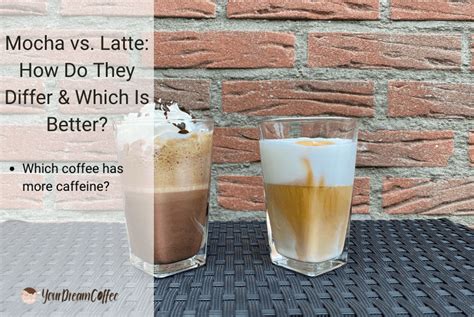 Mocha vs. Latte: How Do They Differ & Which Is Better?