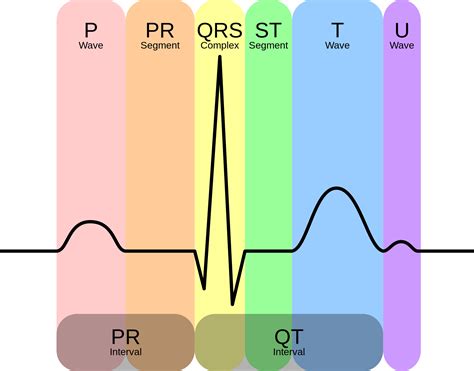 How ECG Electrodes Have the Potential to Save Your Life - The Bus Bench