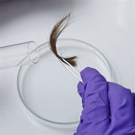 Quantum Biophoton Scan via Hair Sample | Refanala Health