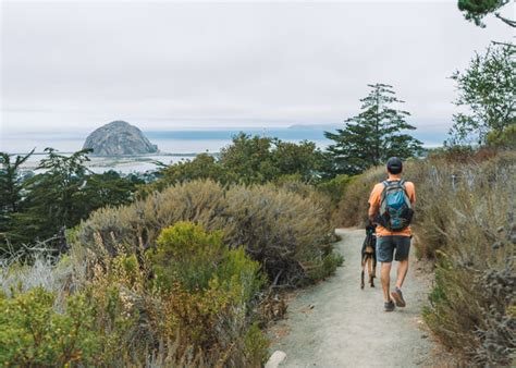 Hiking Black Hill Trail In Morro Bay, California