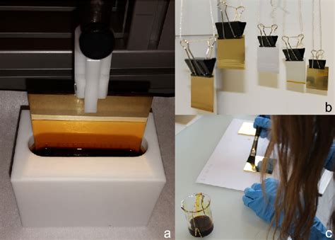 Varnishing of the samples: (a) automated dip coating, (b) manual dip ...